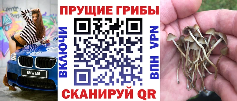 Псилоцибиновые грибы мухоморы  Королёв 